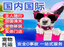 梅州梅县空运公司国际宠物托运 【国